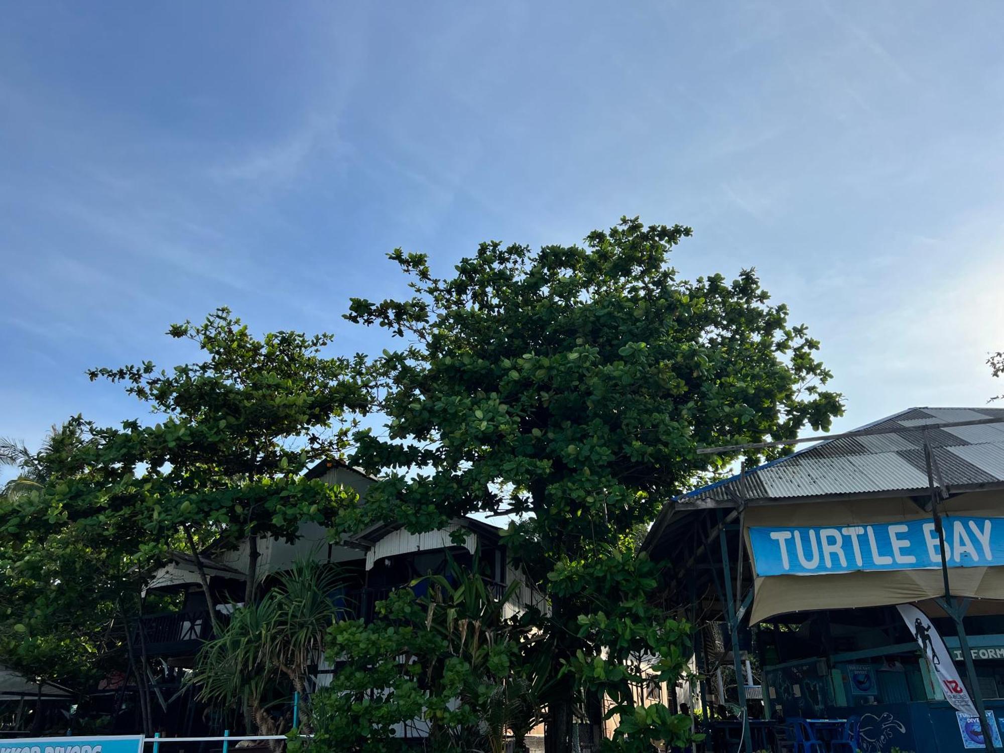 Ohlala Guesthouse Perhentian Islands Exteriör bild